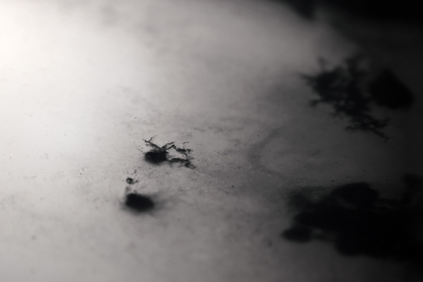 Motion Graphics